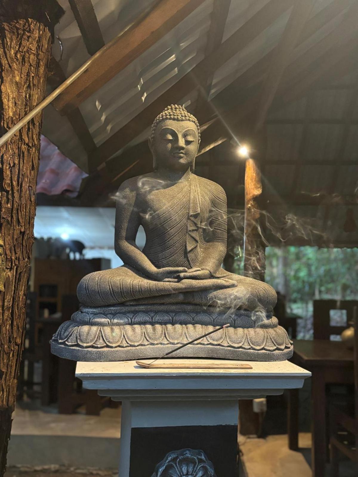 Villa Habarana Luaran gambar